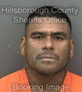 Rosales-Cruz Ismael - Hillsborough County, Florida 