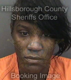 Davis Michelle - Hillsborough County, Florida 