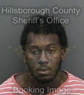 Mckinney Andron - Hillsborough County, Florida 