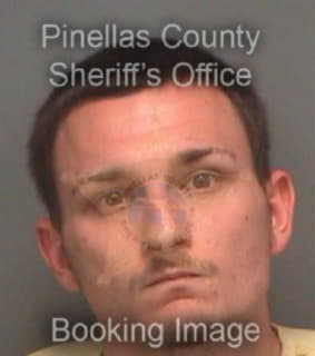 Symes Christopher - Pinellas County, Florida 