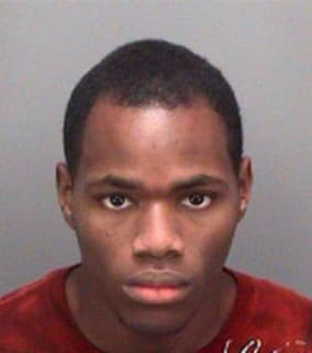 Hillman Deandre - Pinellas County, Florida 