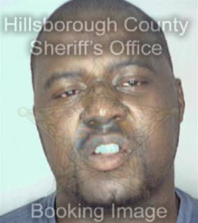 Peterson James - Hillsborough County, Florida 