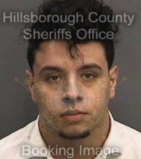 Bowerman Ryan - Hillsborough County, Florida 