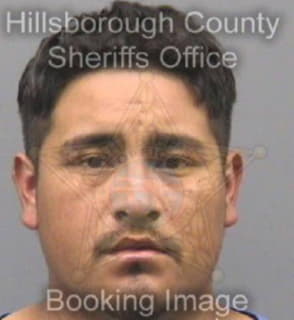 Flores Giovani - Hillsborough County, Florida 