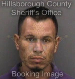 Mendezgomez Jonathan - Hillsborough County, Florida 