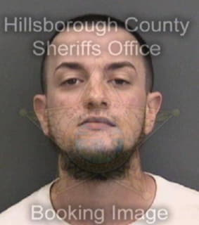 Pereira Marc - Hillsborough County, Florida 