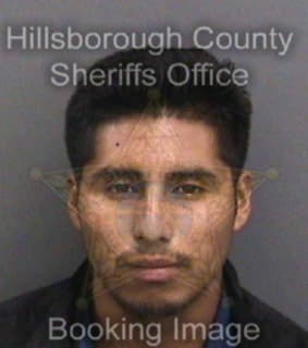 Martineztrejo Maynor - Hillsborough County, Florida 