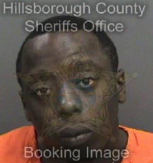 Robertson Kenneth - Hillsborough County, Florida 