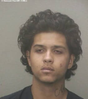 Delnegro Lucas - Broward County, Florida 