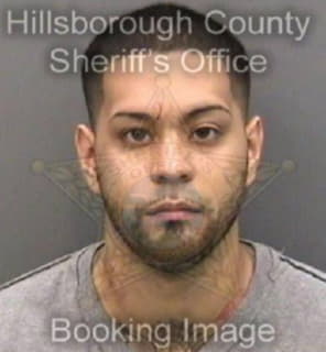 Dejesus Luis - Hillsborough County, Florida 