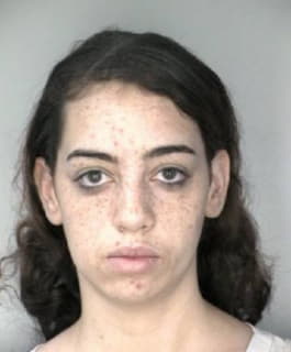 Colon Lizmarie - Hillsborough County, Florida 