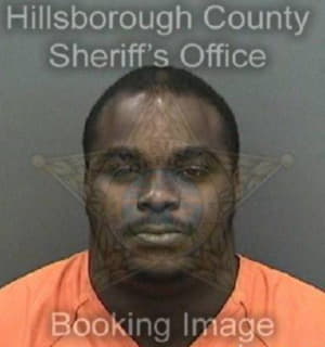 Mcdonald Sterling - Hillsborough County, Florida 