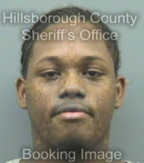 Deablo Demetrius - Hillsborough County, Florida 