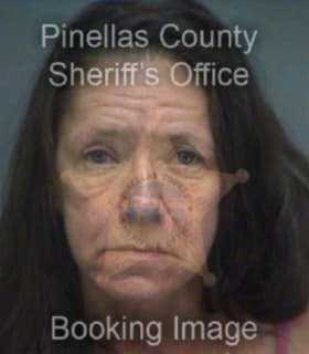 Goleniewski Joann - Pinellas County, Florida 