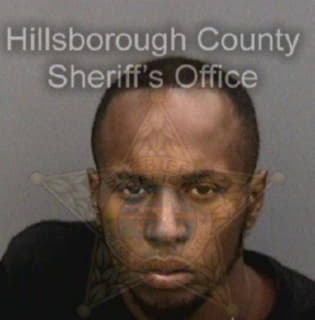 Dean Devin - Hillsborough County, Florida 