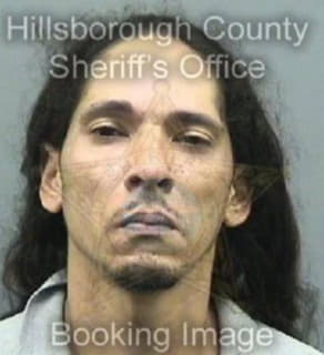 Verdejo Heriberto - Hillsborough County, Florida 