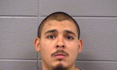 Reynoso Horacio - Cook County, Illinois 