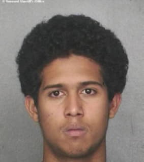 Cruzhenriquez Nelson - Broward County, Florida 