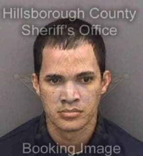 Franco Elvin - Hillsborough County, Florida 