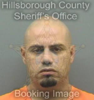 Leontorres Luis - Hillsborough County, Florida 