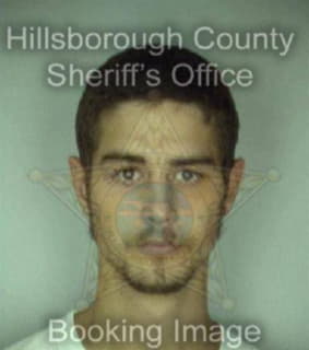 Mcelroy Michael - Hillsborough County, Florida 