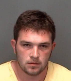 Hoskins Michael - Pinellas County, Florida 