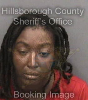 Mcmillon Dorothy - Hillsborough County, Florida 