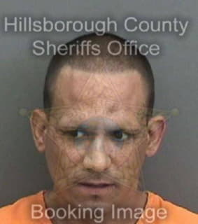 Nichols Jason - Hillsborough County, Florida 