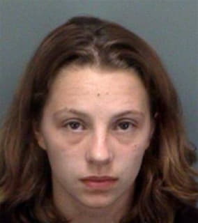 Bray Meagan - Pinellas County, Florida 