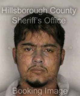 Delarosa Oliverio - Hillsborough County, Florida 