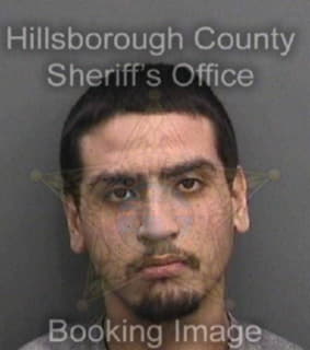 Perez Raymond - Hillsborough County, Florida 