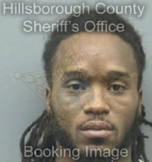 Levison Reginald - Hillsborough County, Florida 