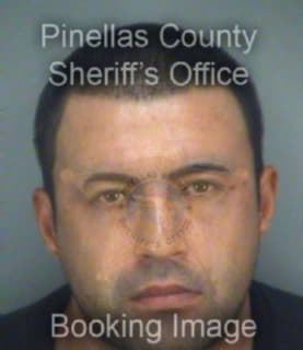 Martinez Wilfredo - Pinellas County, Florida 