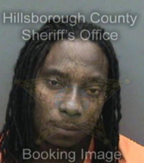 Lewis Deanthony - Hillsborough County, Florida 