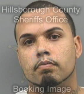 Agustin Israel - Hillsborough County, Florida 