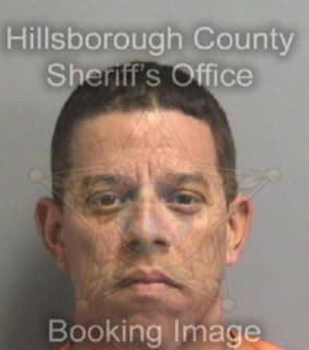 Aponte Javier - Hillsborough County, Florida 