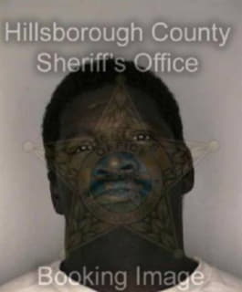 Phillips Christopher - Hillsborough County, Florida 