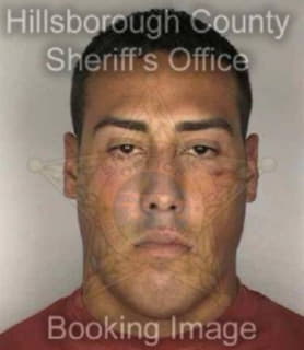 Rivera Edwin - Hillsborough County, Florida 