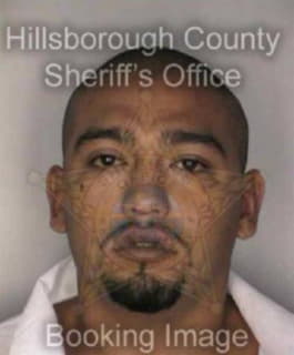 Olivo Jorge - Hillsborough County, Florida 