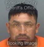 Mendoza Marcelino - Pinellas County, Florida 