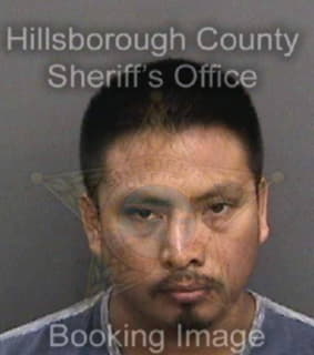 Lopez Jose - Hillsborough County, Florida 