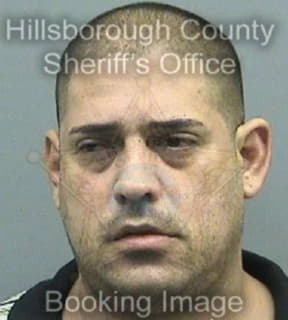 Ventoperez Luis - Hillsborough County, Florida 