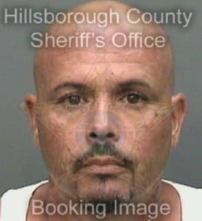 Lorenzochaparro Yamil - Hillsborough County, Florida 