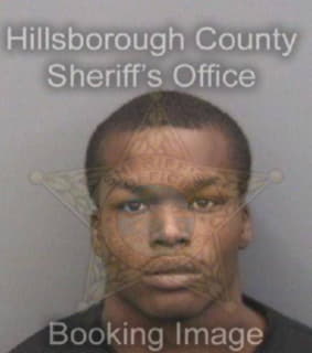 Sirmons Corliss - Hillsborough County, Florida 