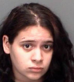 Alves Alexandra - Pinellas County, Florida 