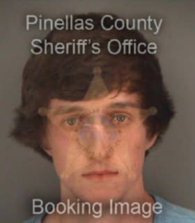 Henderson Justin - Pinellas County, Florida 