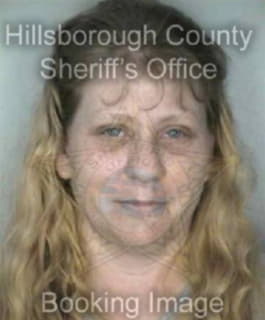 Baroody Sherri - Hillsborough County, Florida 