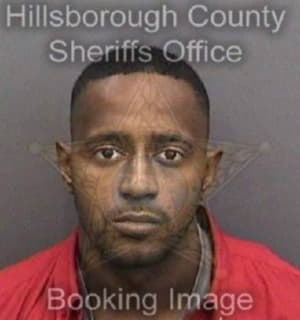 Pearson Vernon - Hillsborough County, Florida 