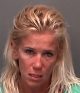 Mccarthy Amy - Pinellas County, Florida 