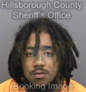 Williams Davian - Hillsborough County, Florida 